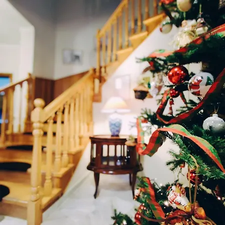 فيلة Casamamma دراما